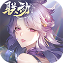 大王车用安卓版